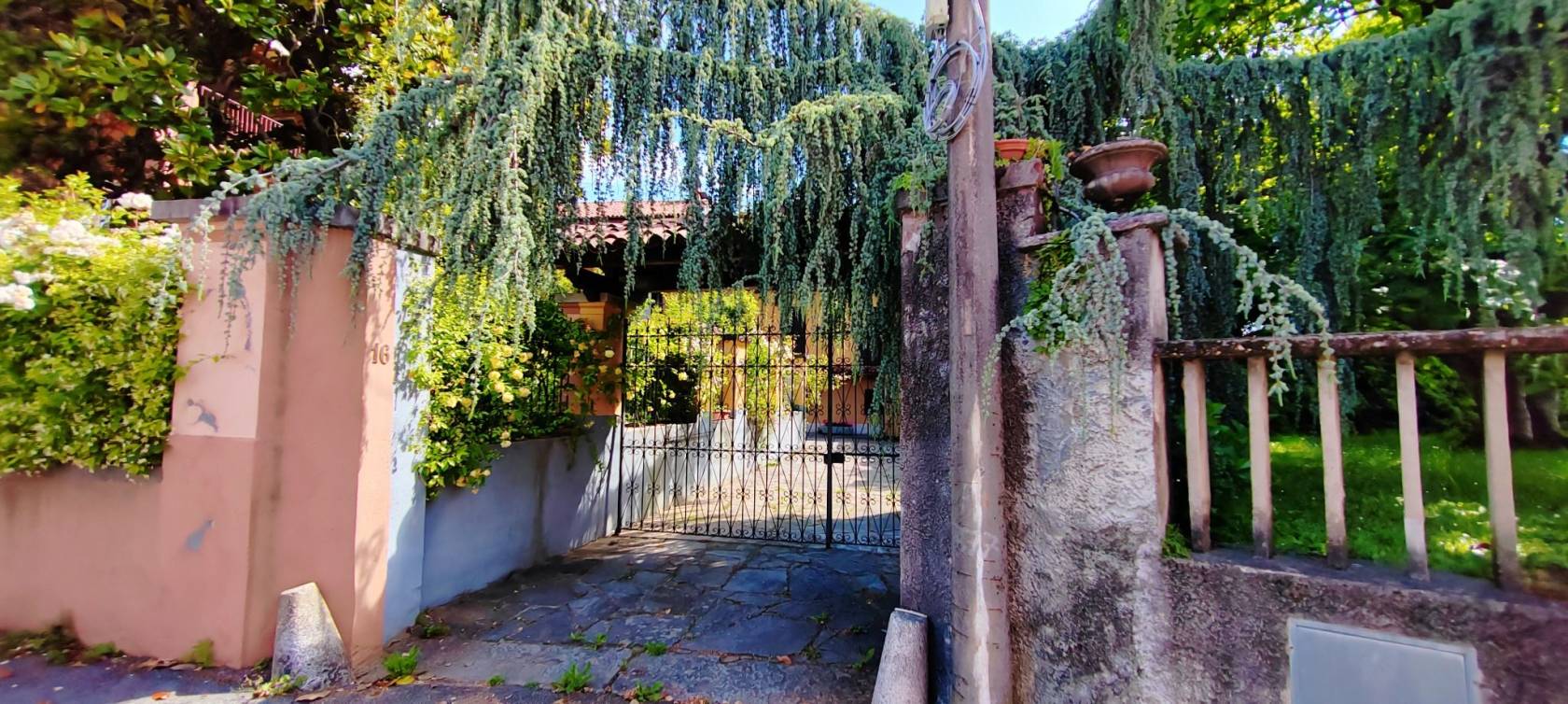 Ingresso