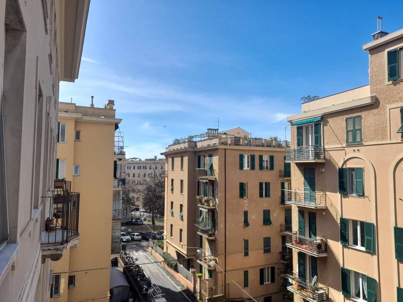 Vista