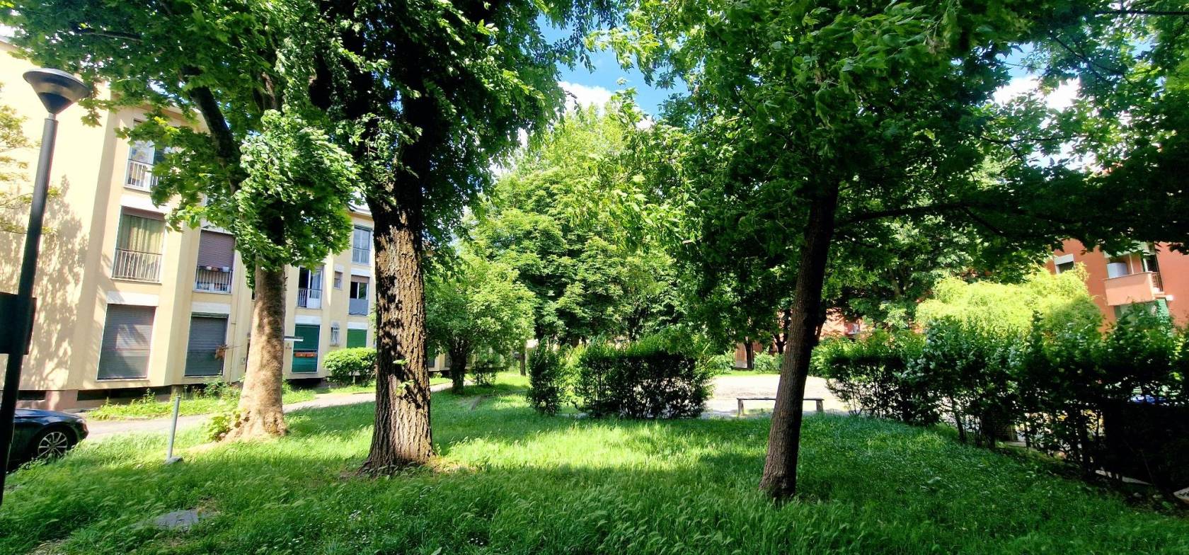 Giardino
