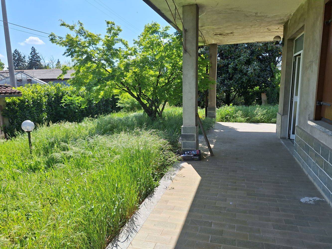 Giardino