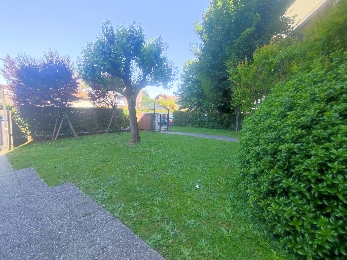Giardino