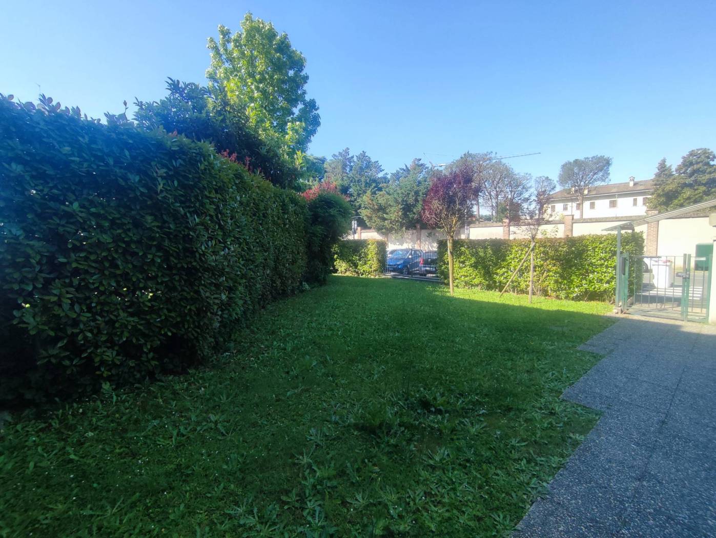 Giardino