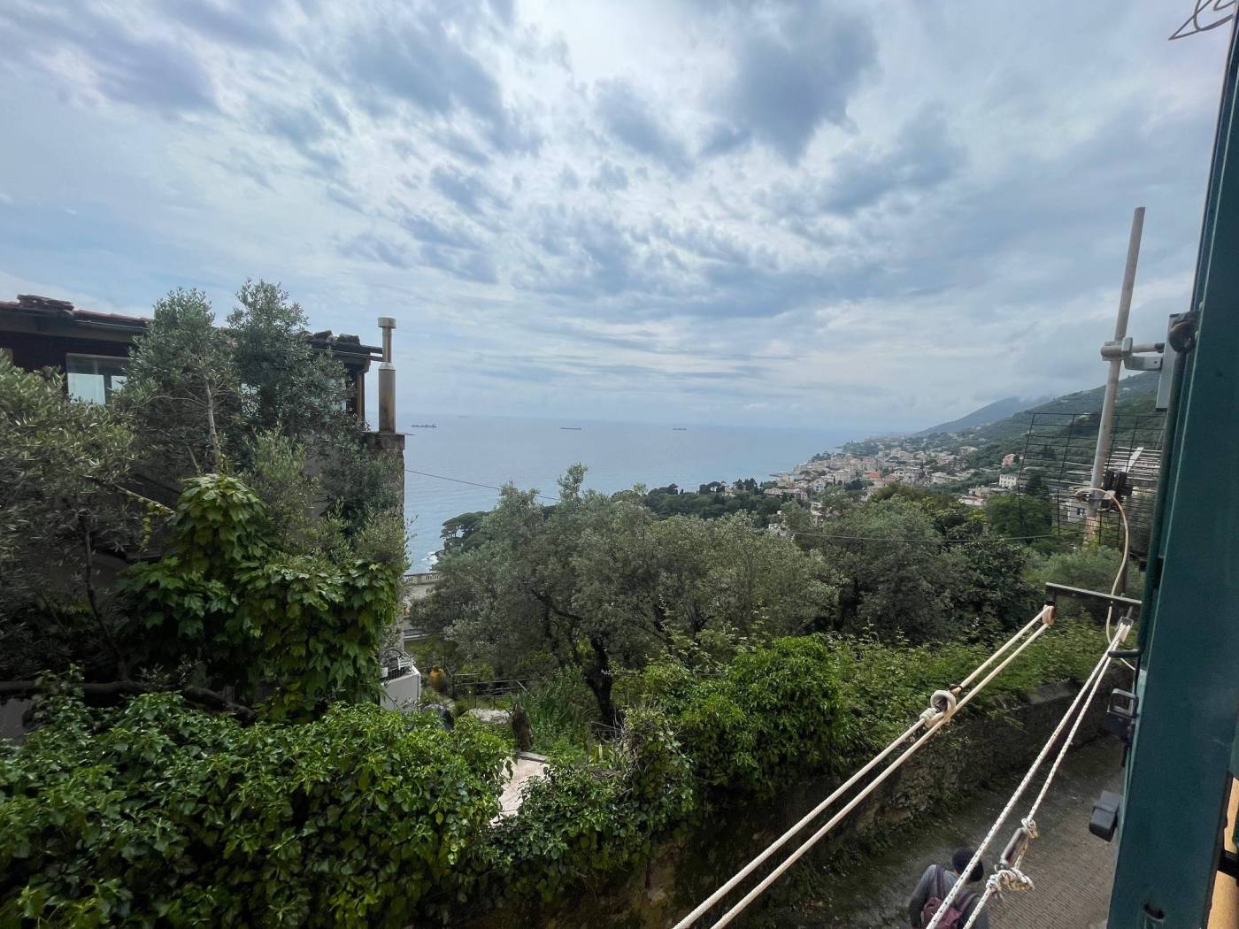 Vista