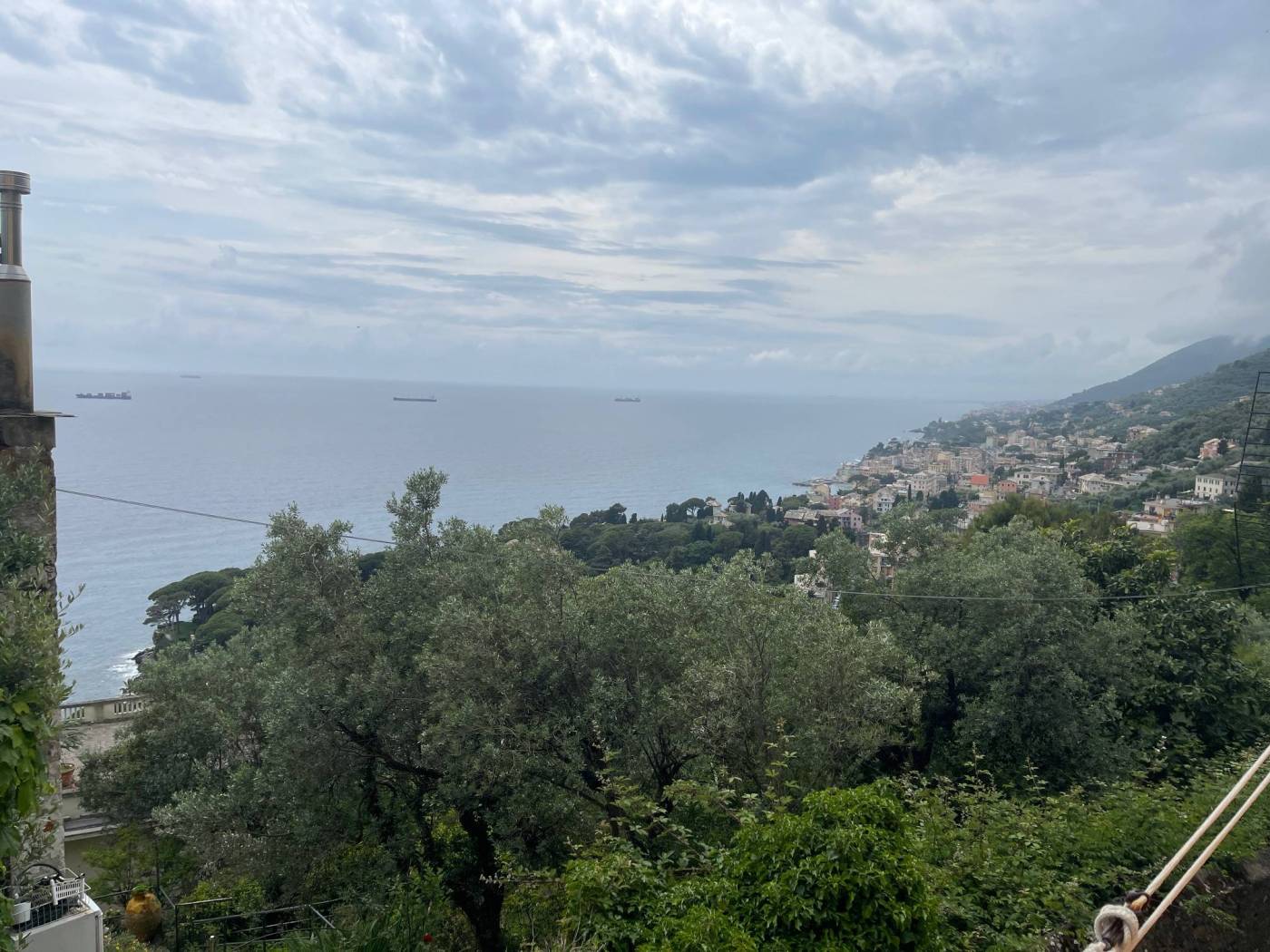 Vista