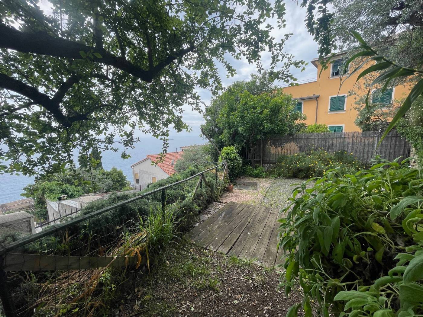 Giardino