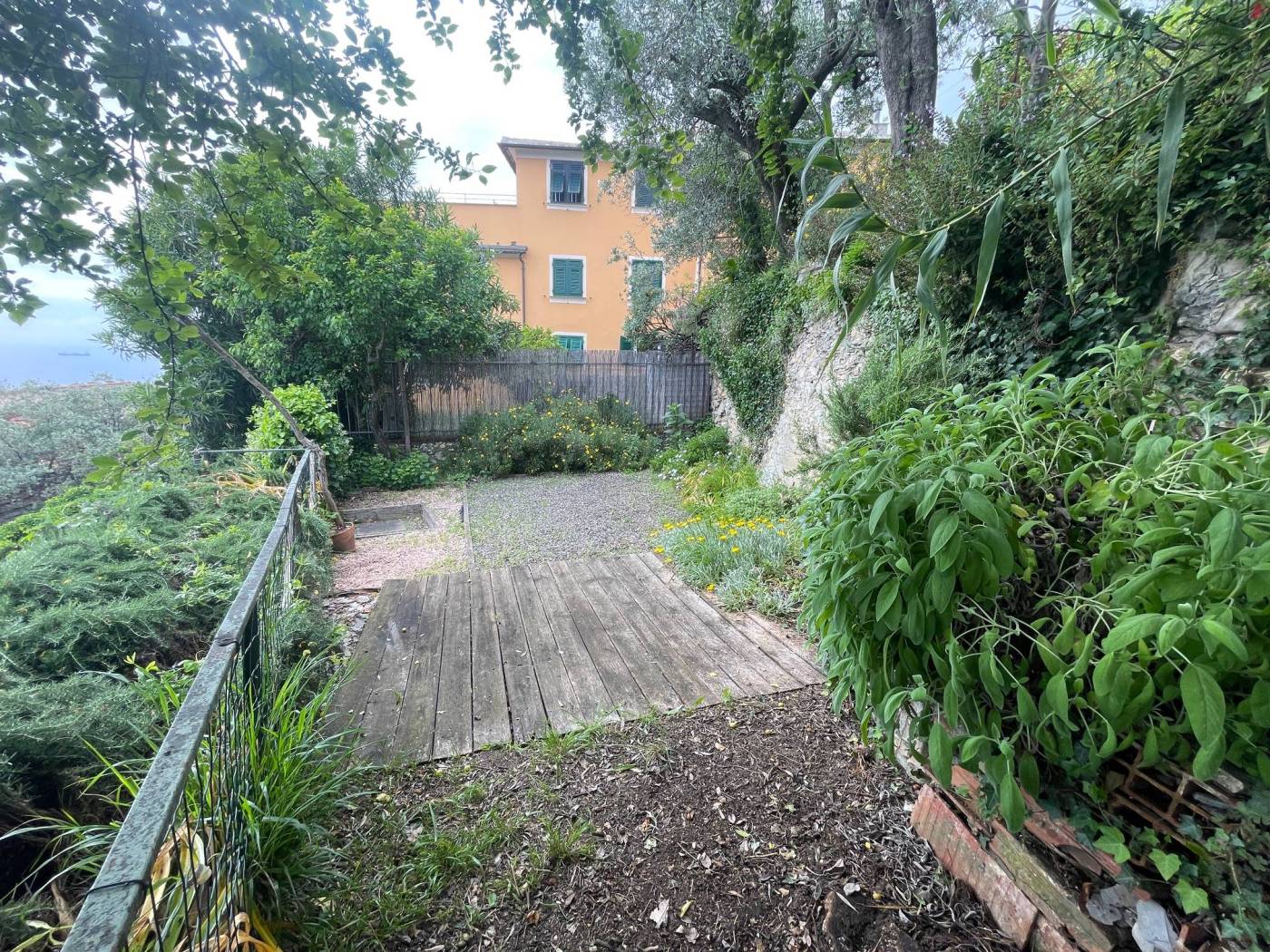 Giardino