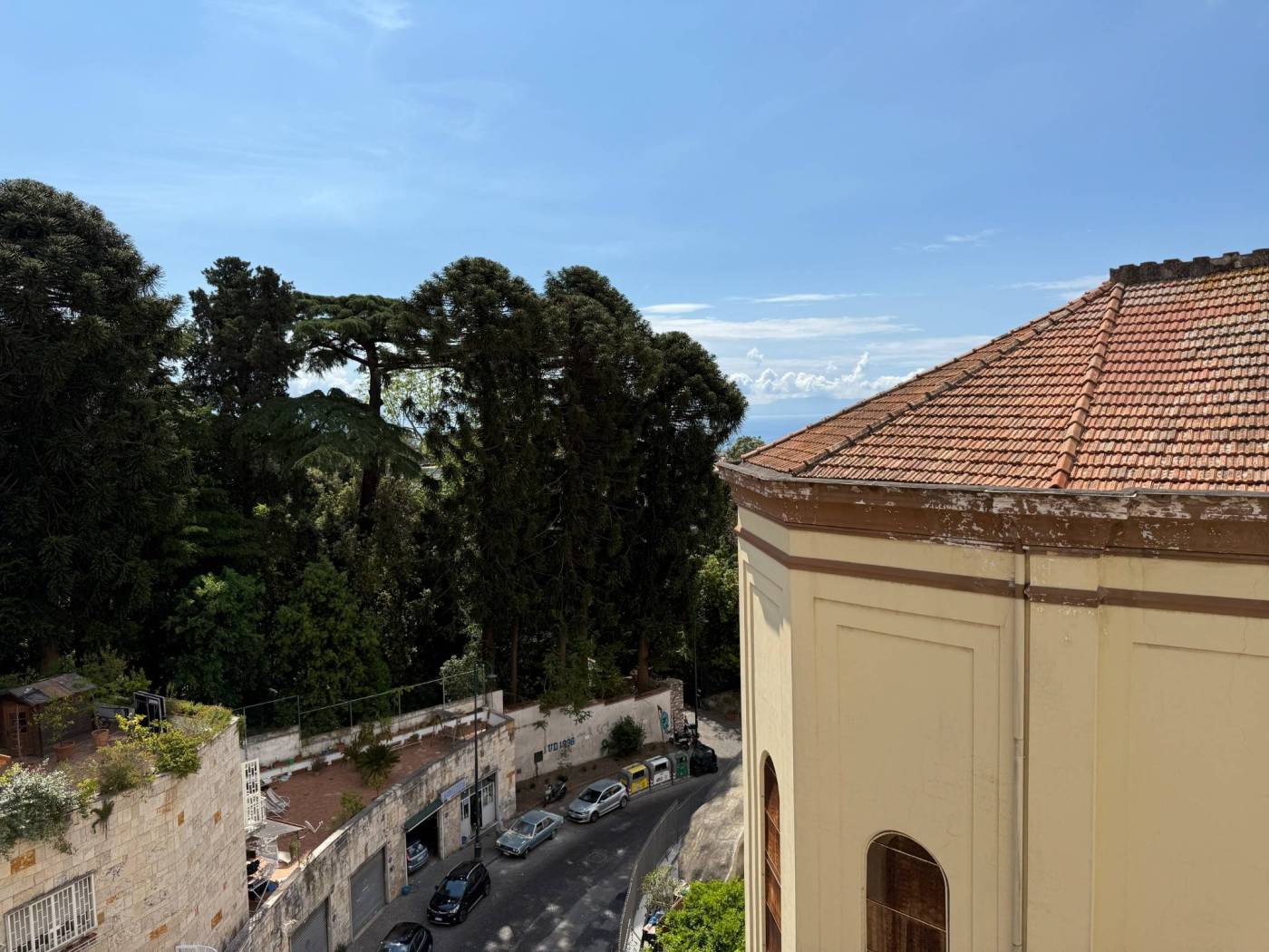 Vista