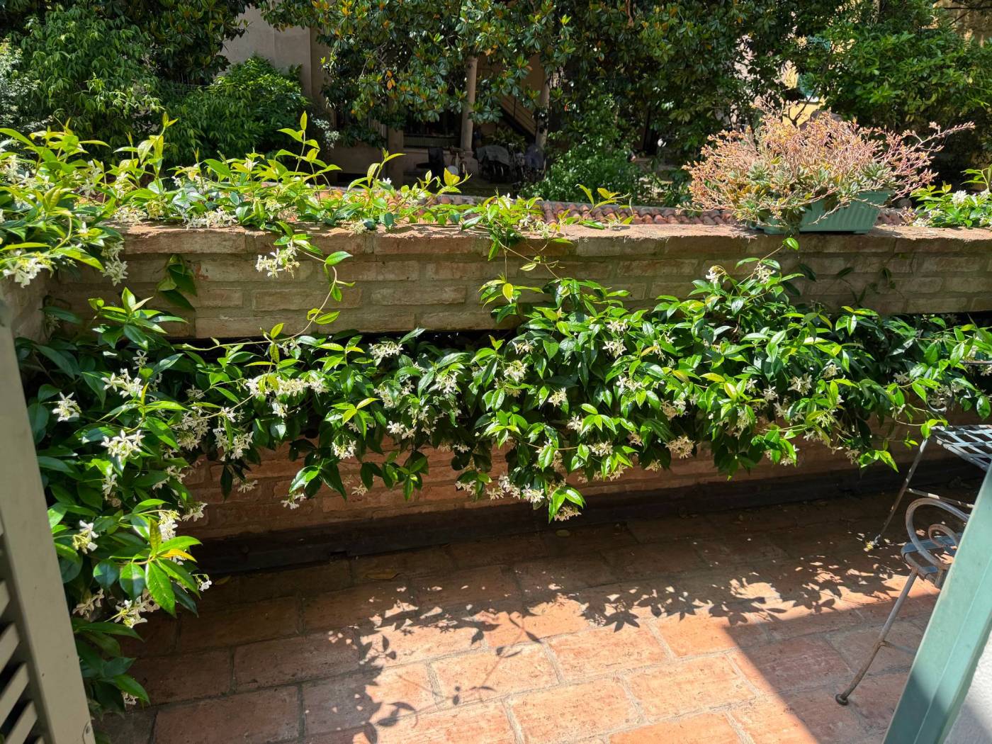 Giardino Giardino