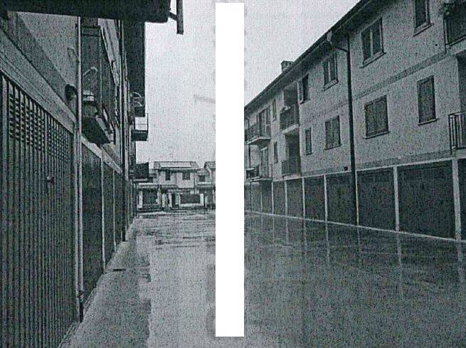 Zona