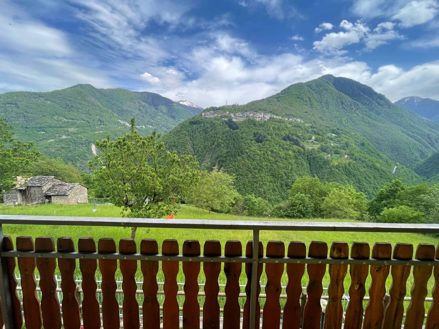 Vista