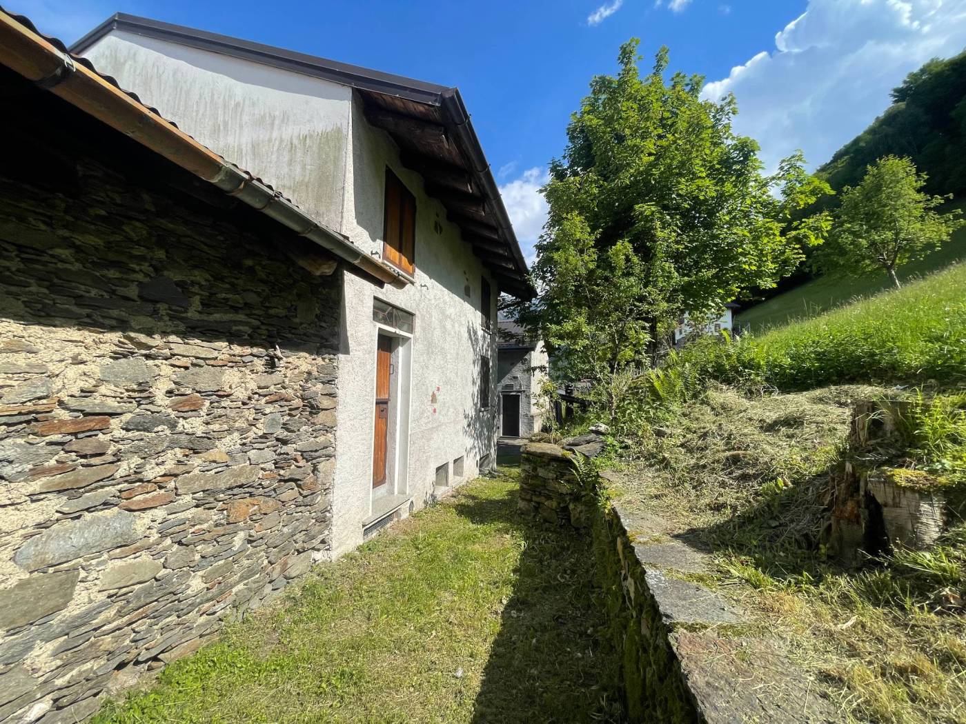 Terreno