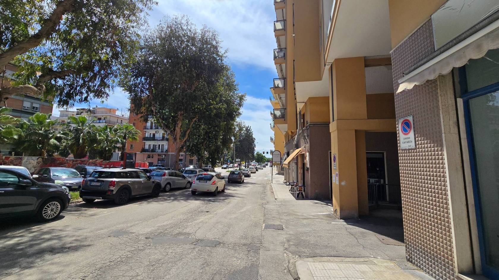 Zona