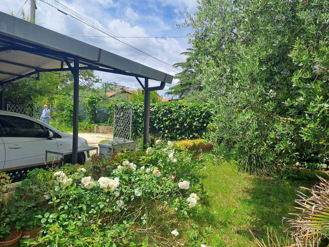 Giardino