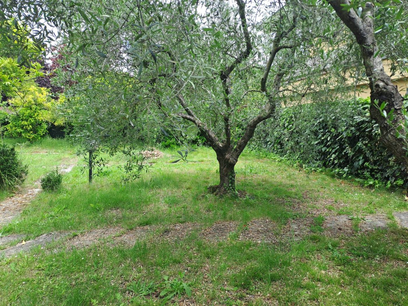Terreno