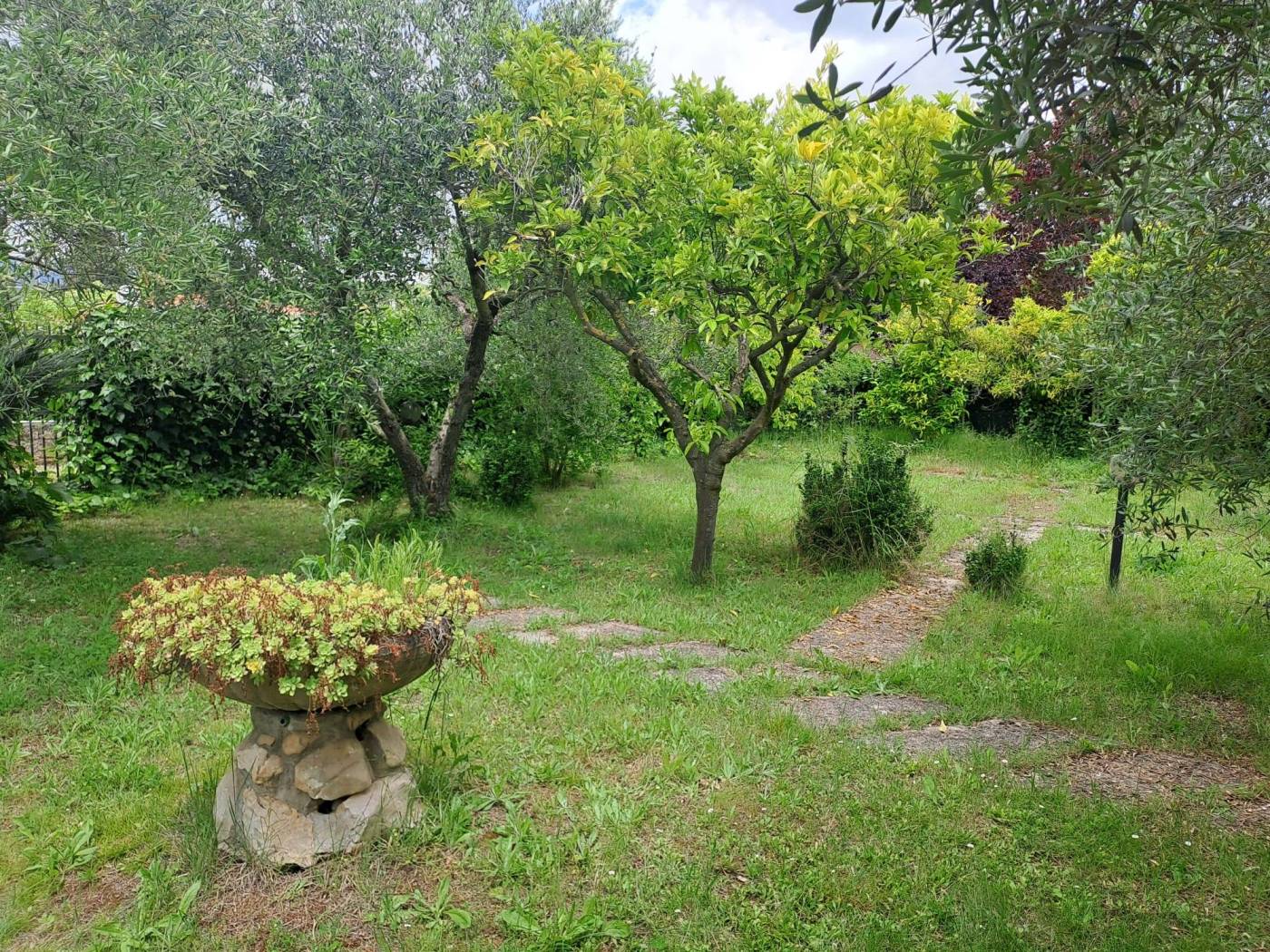 Terreno