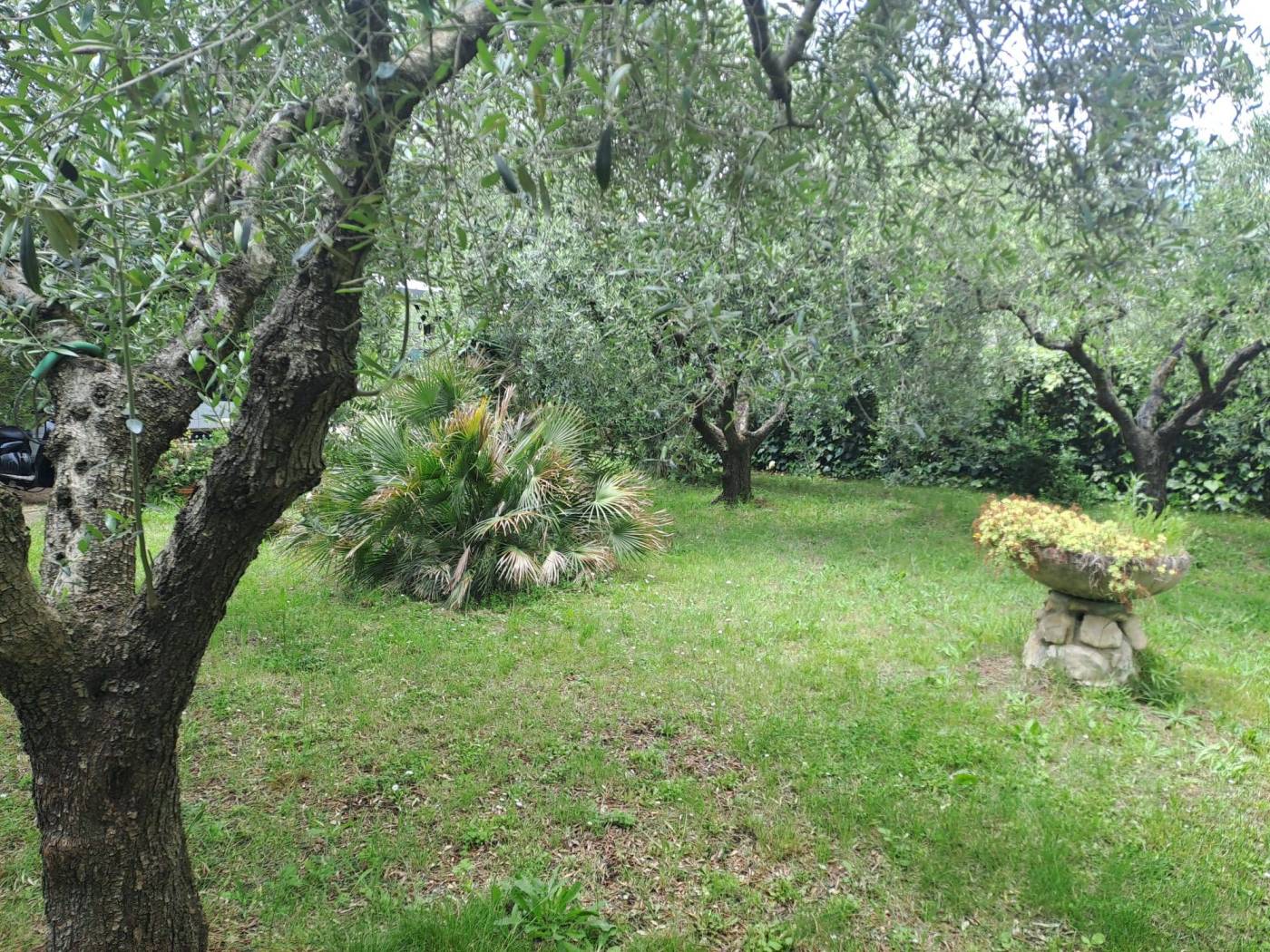 Terreno