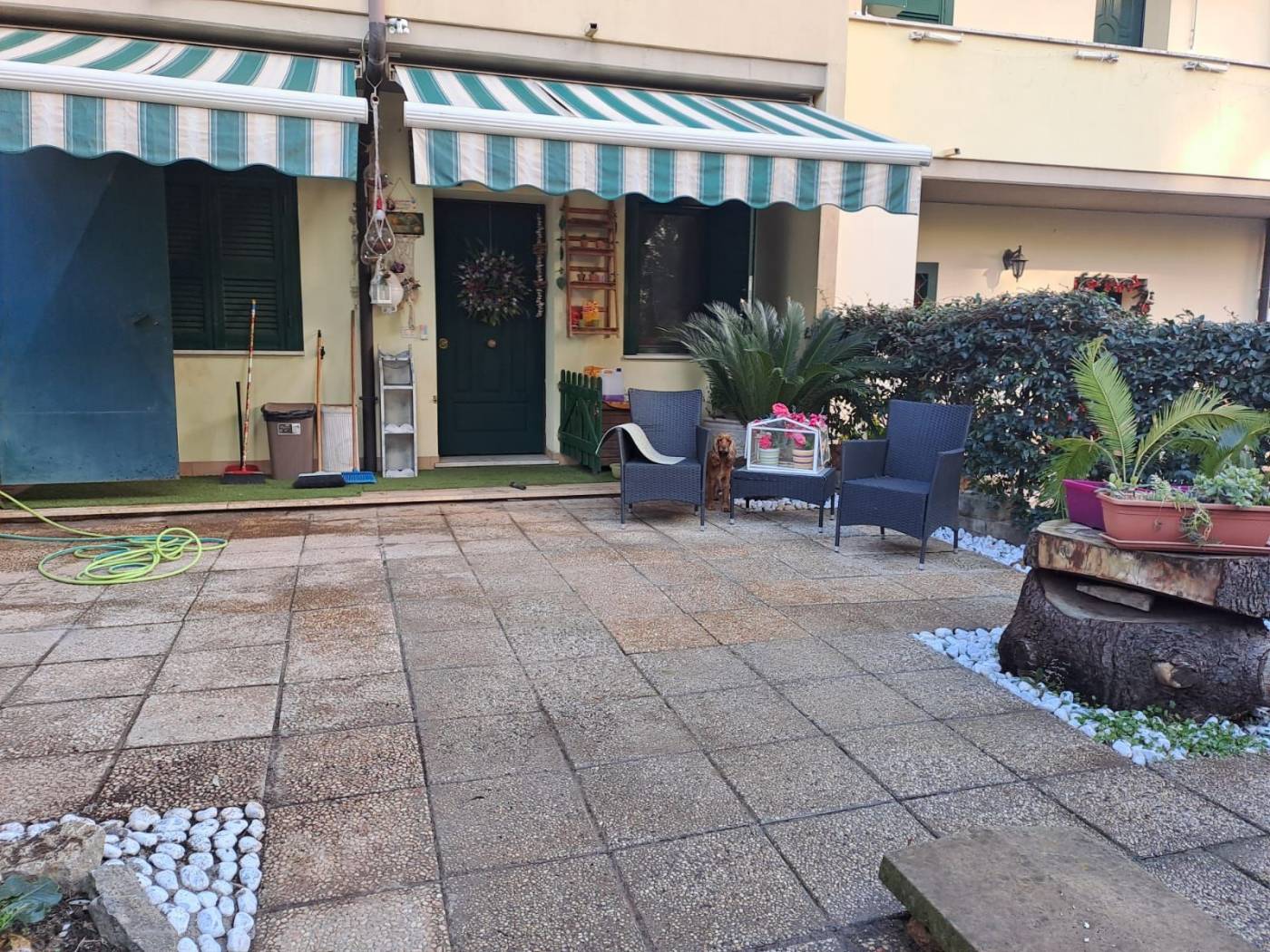 Giardino