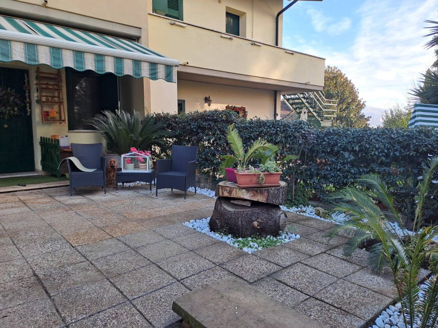 Giardino