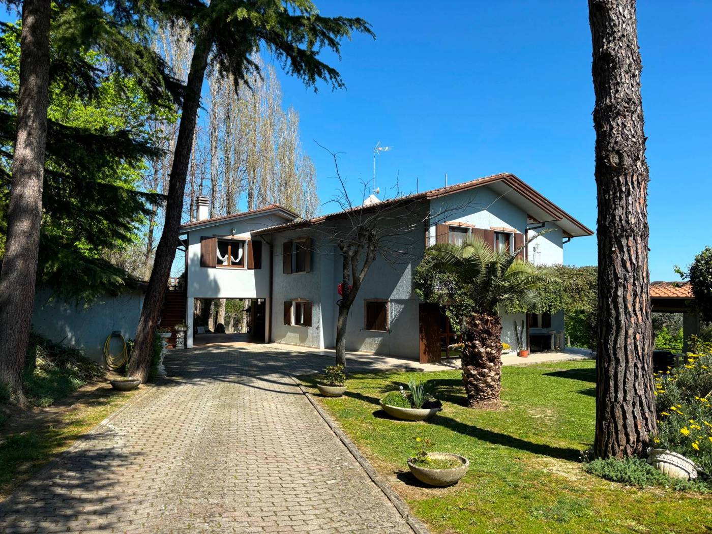Giardino