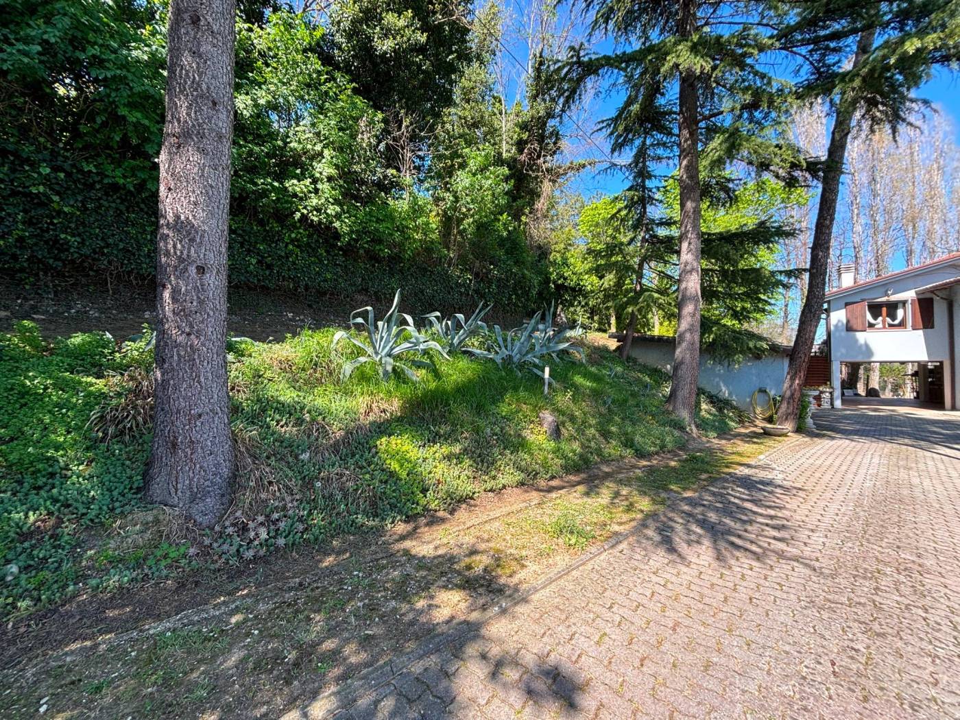 Giardino