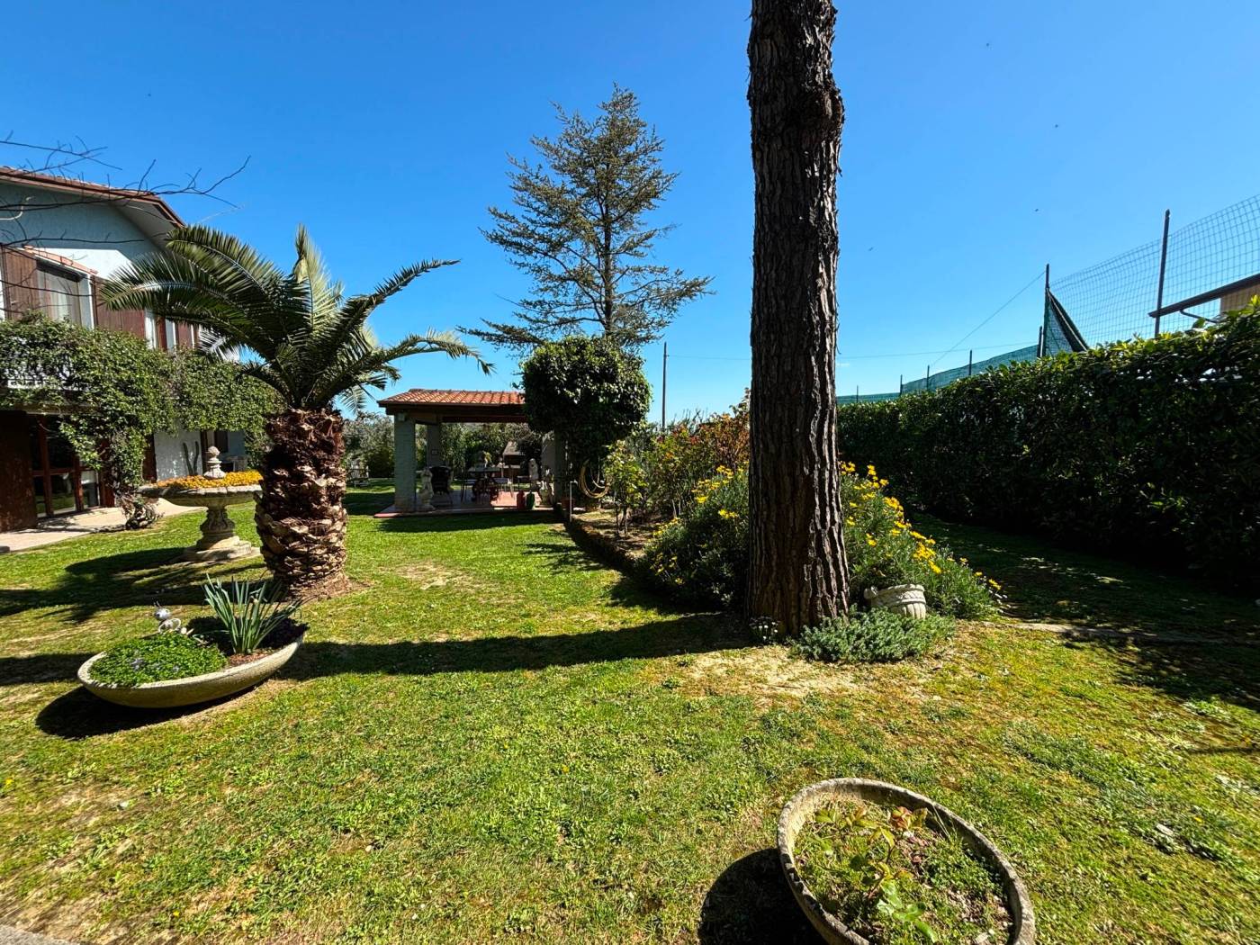 Giardino