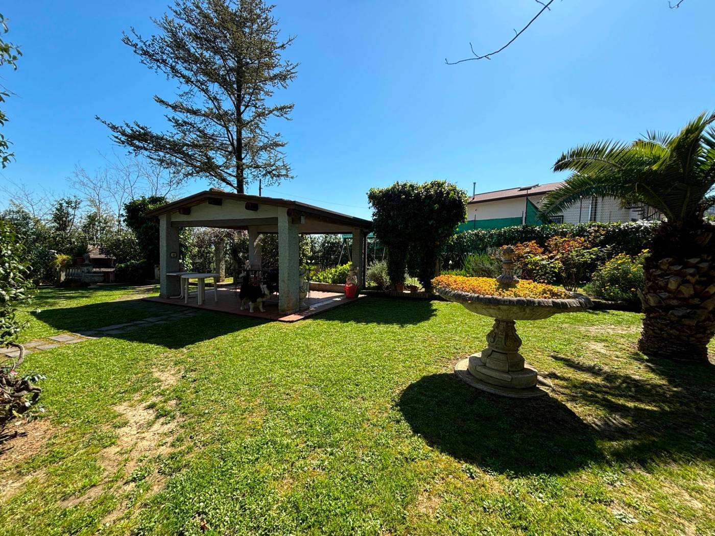 Giardino