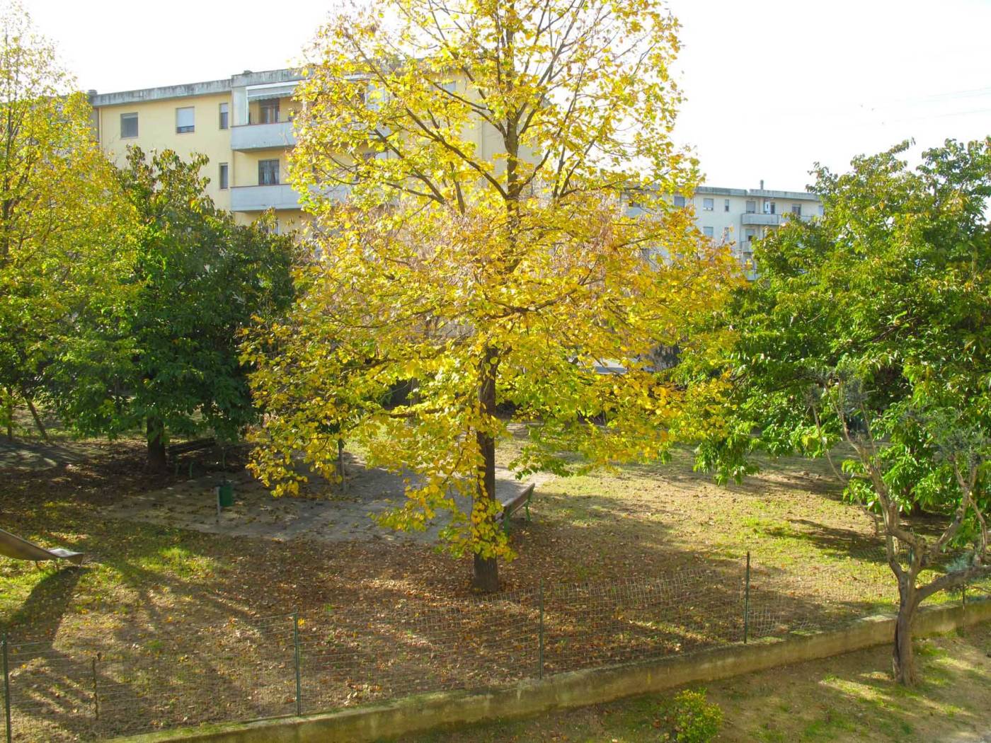 Giardino