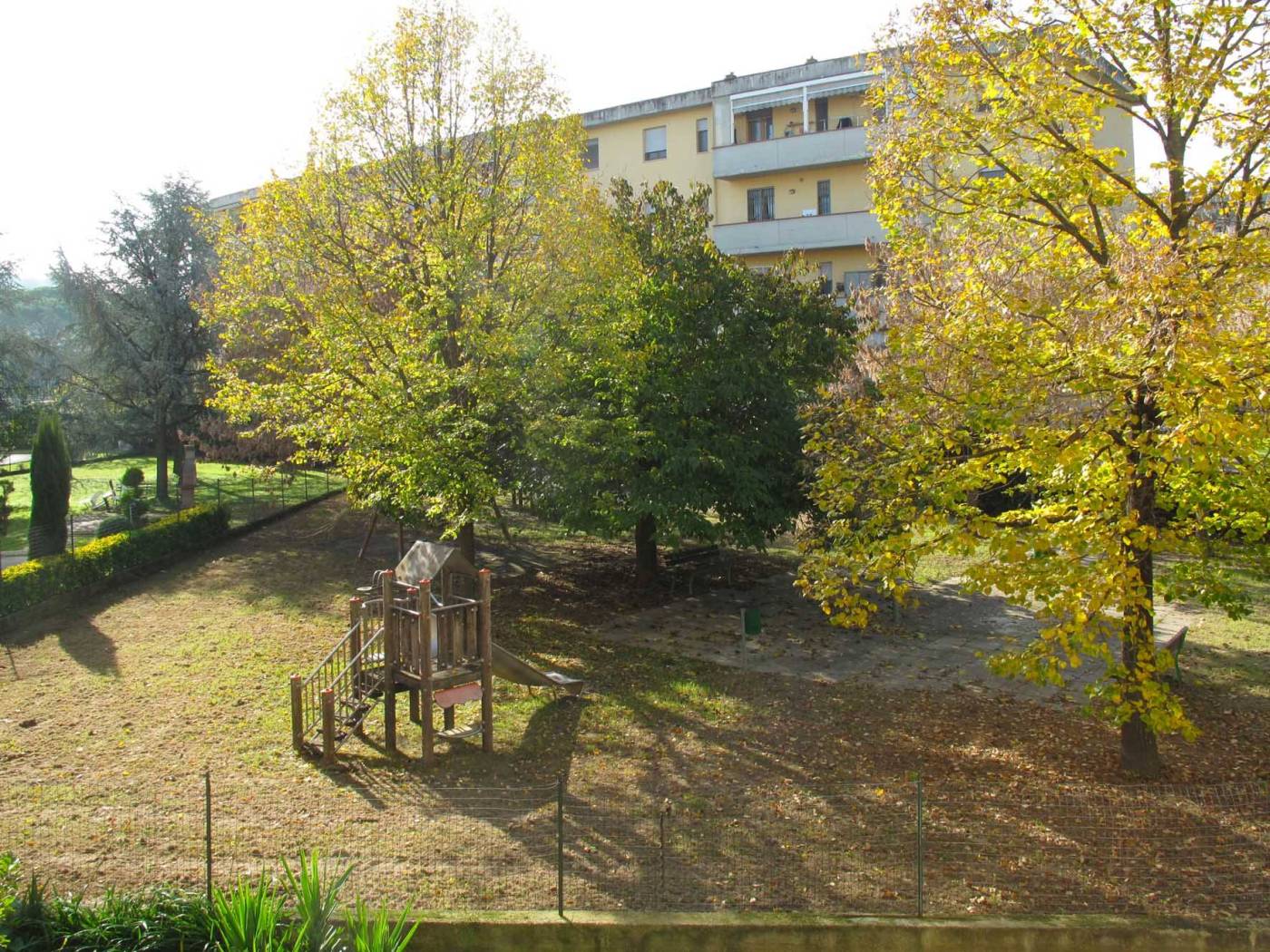 Giardino