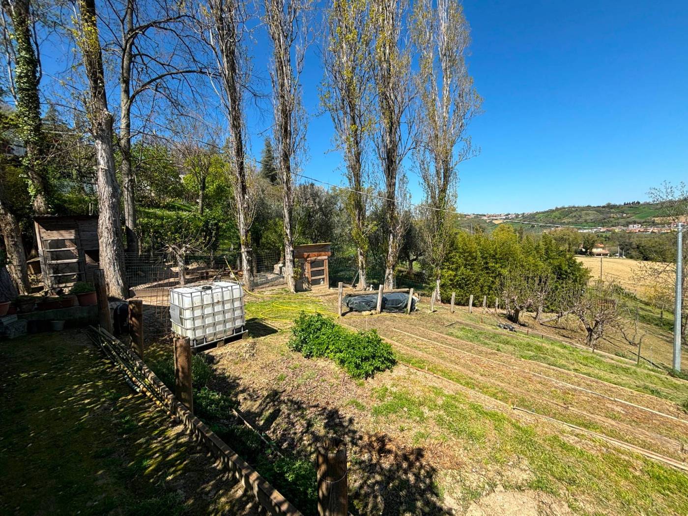 Terreno