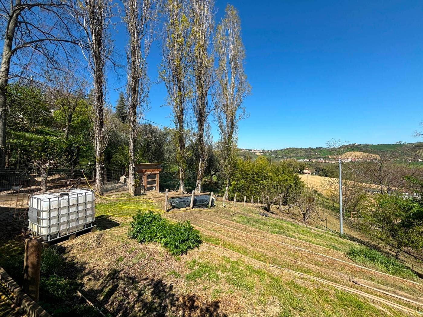 Terreno