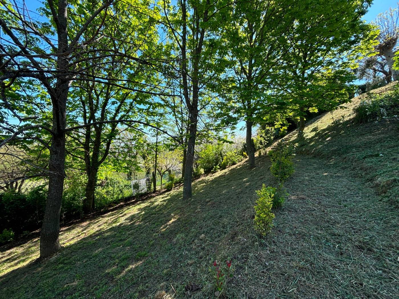 Terreno