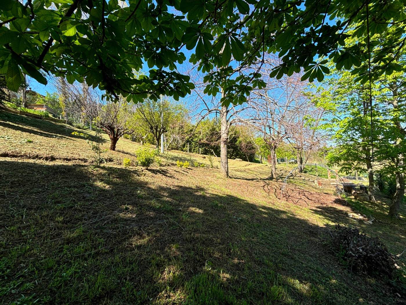 Terreno