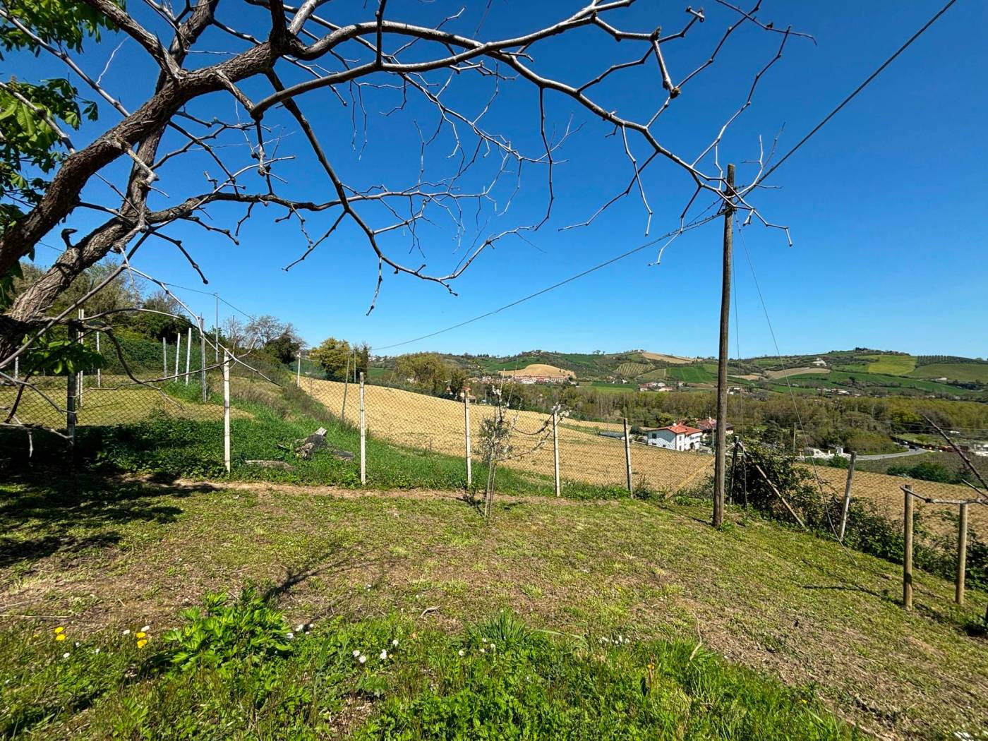 Terreno