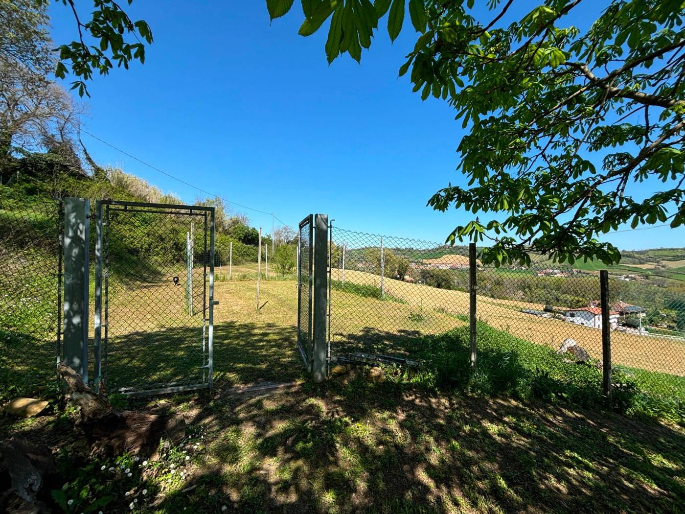 Terreno