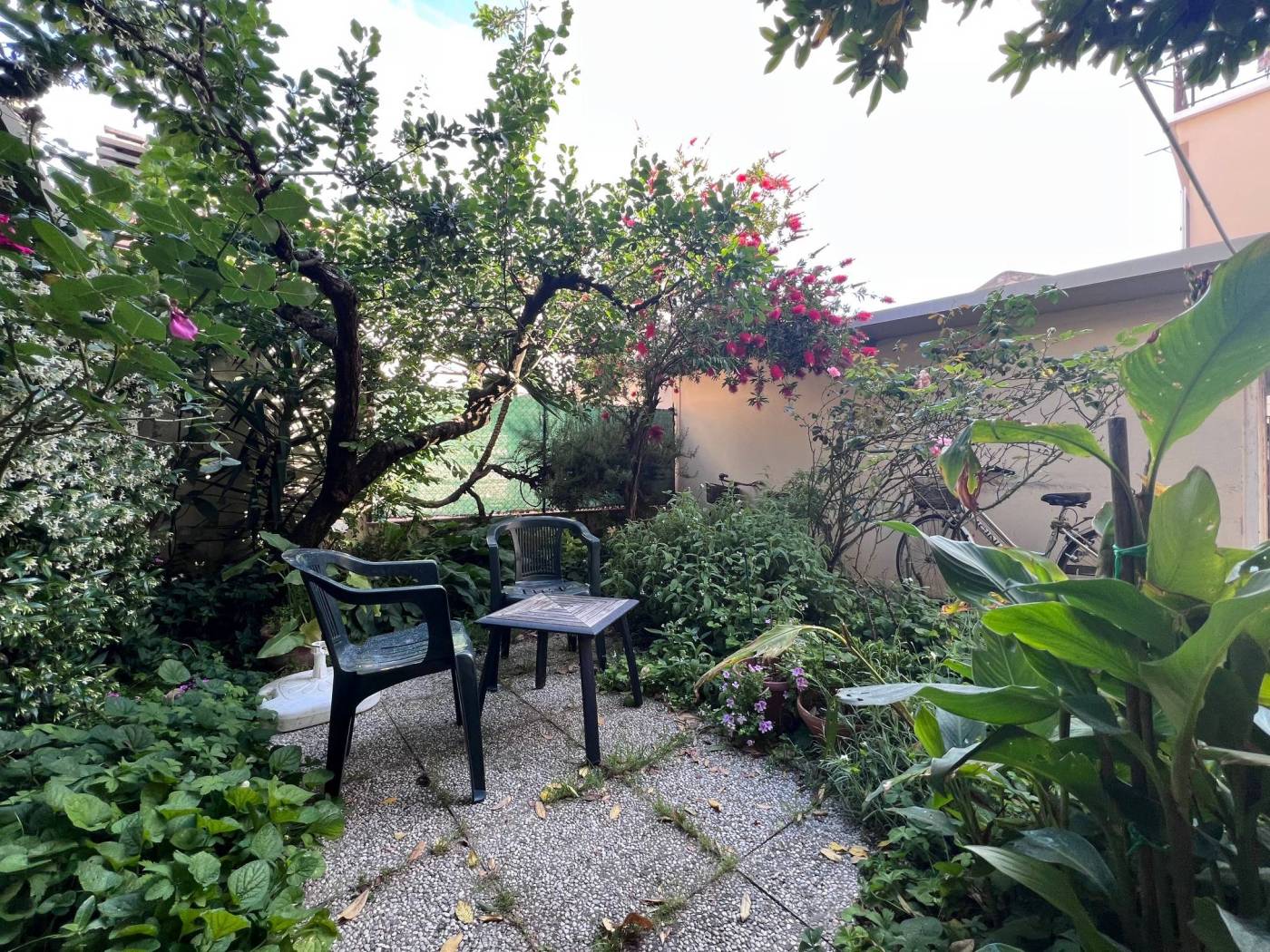 Giardino