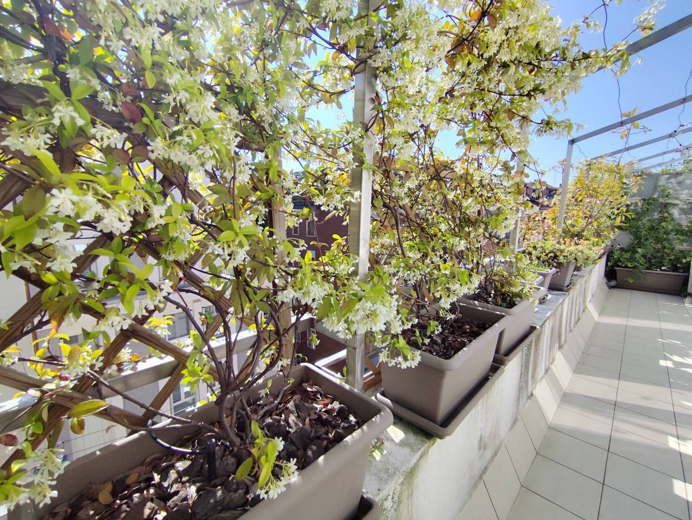 Terrazzo