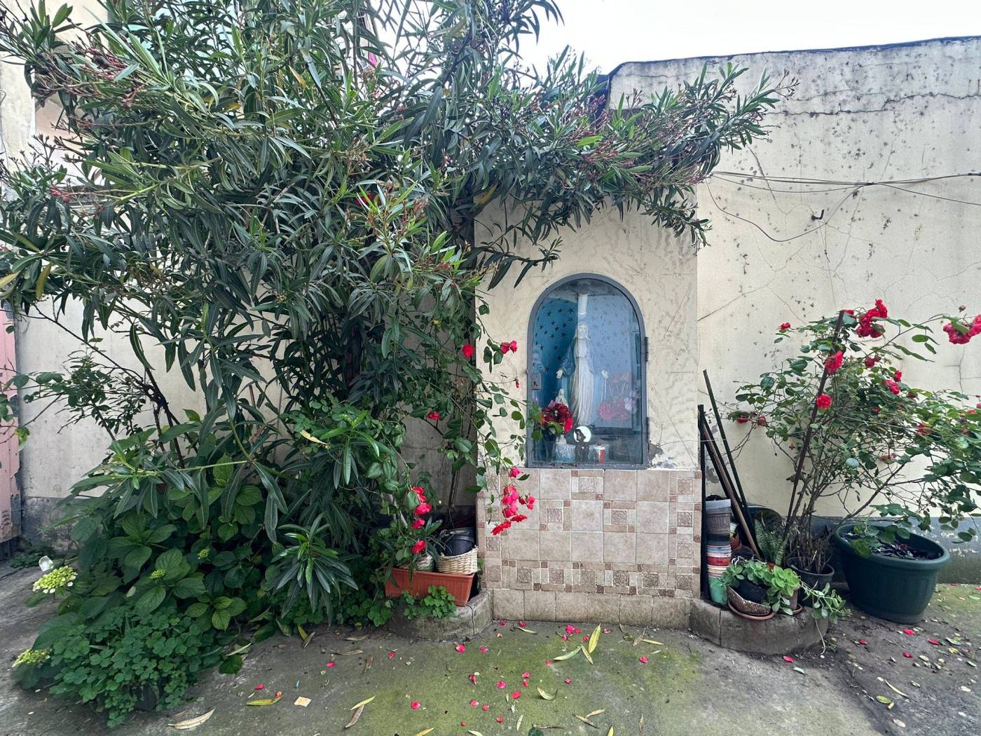 Giardino