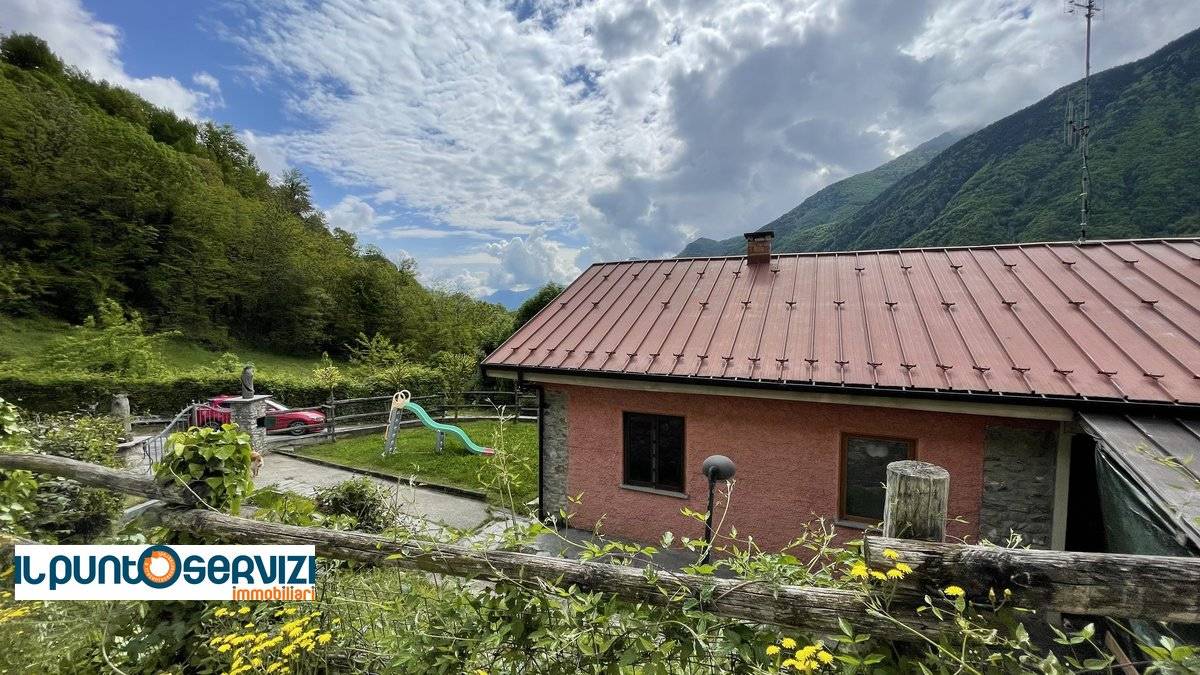 Vista