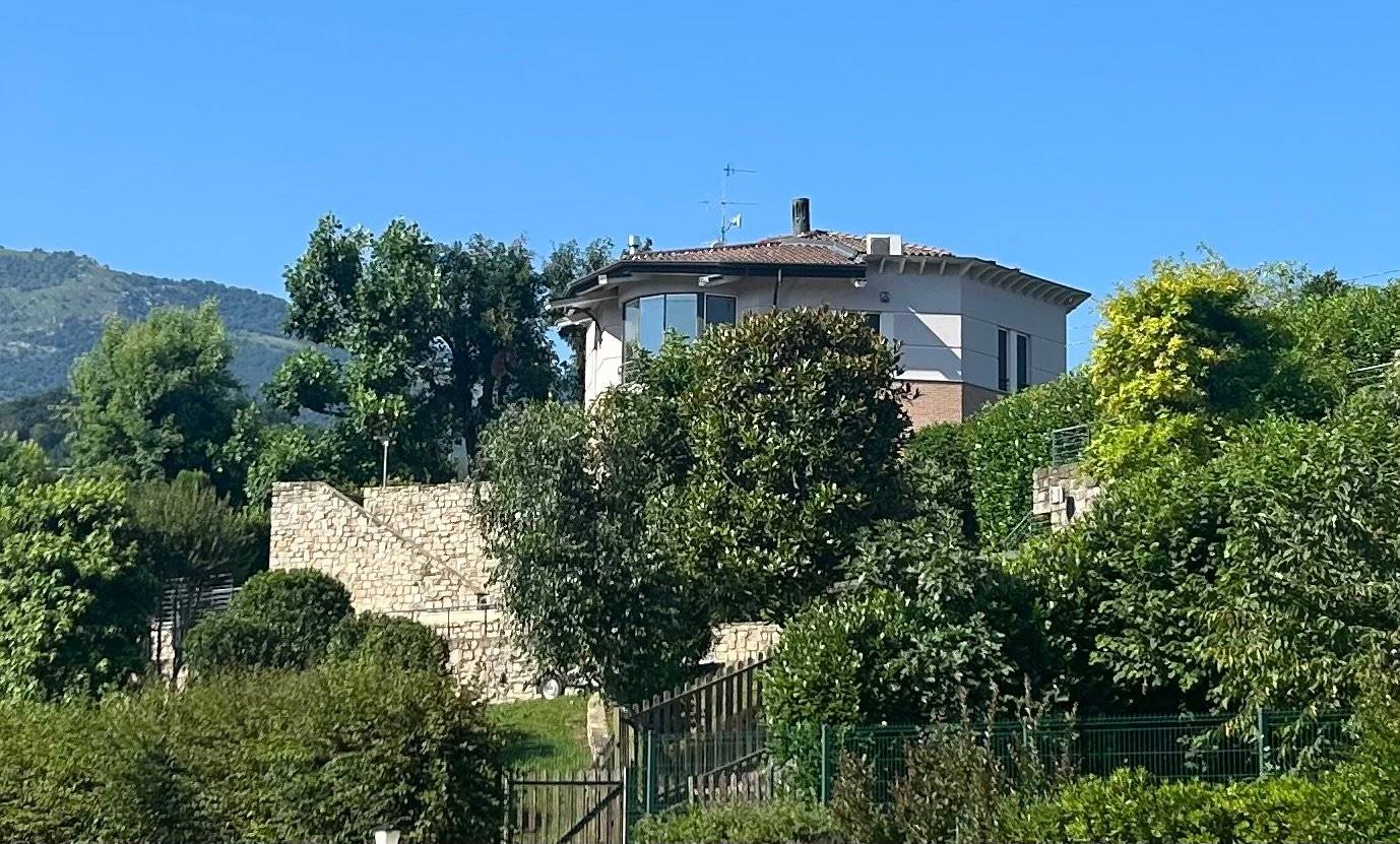Vista