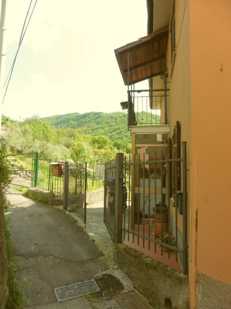 Zona