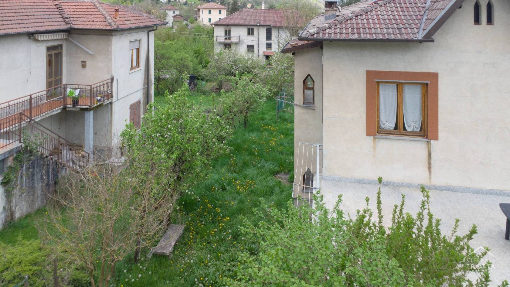 Vista