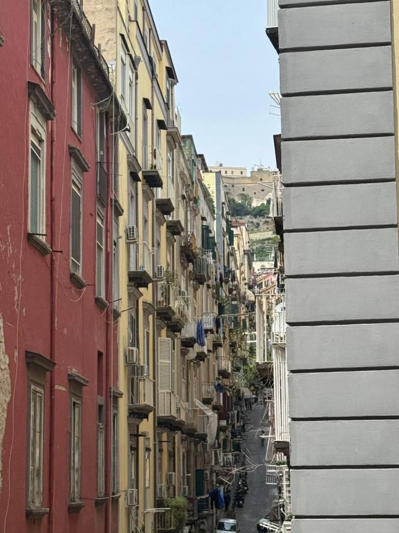 Vista