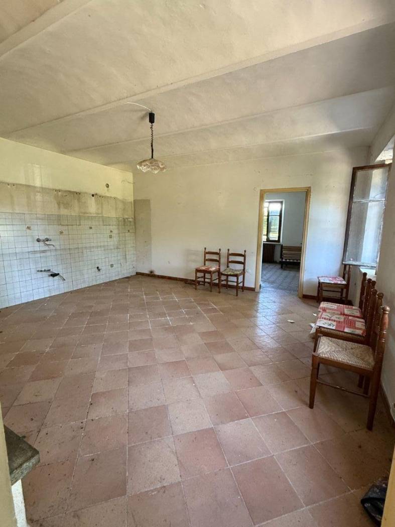Salone Salone