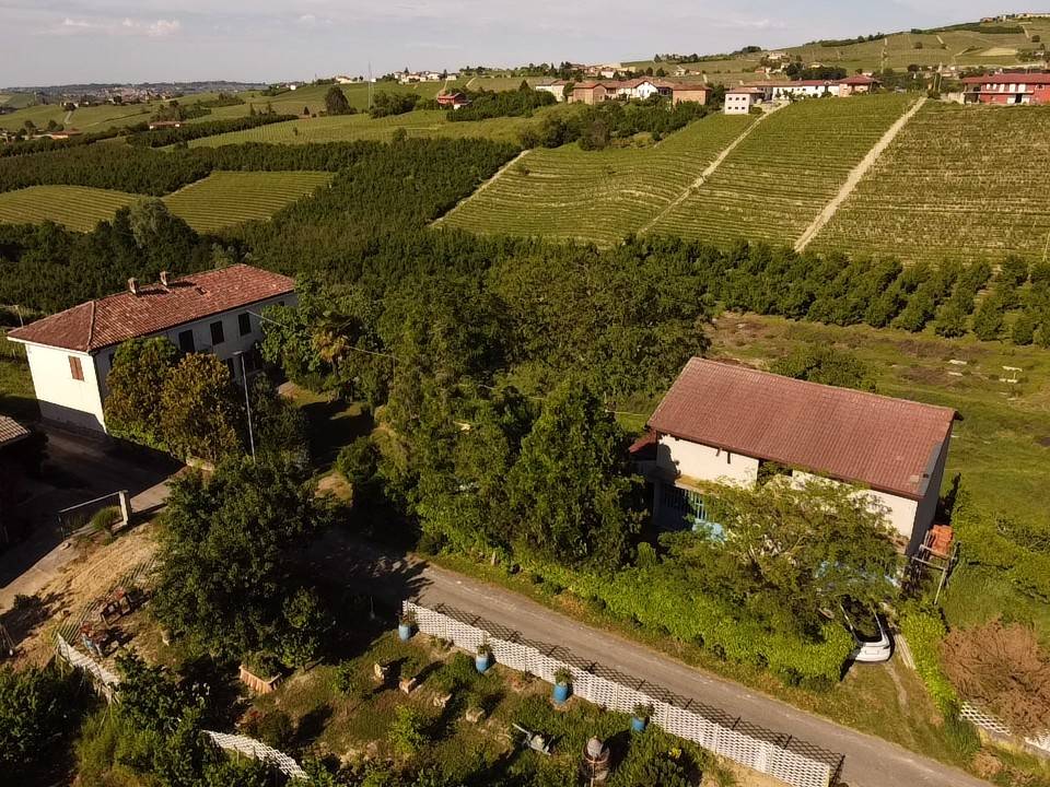 Vista Vista