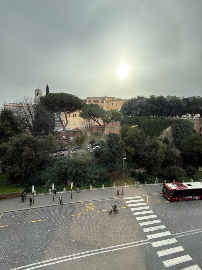 Vista