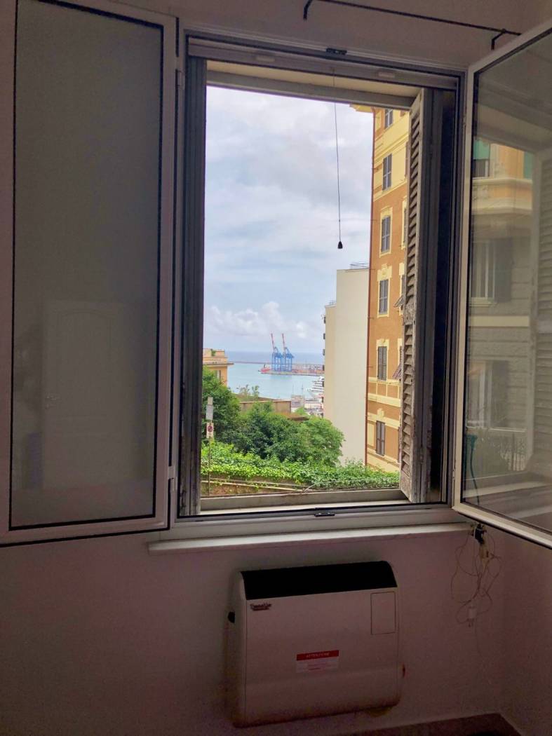 Vista