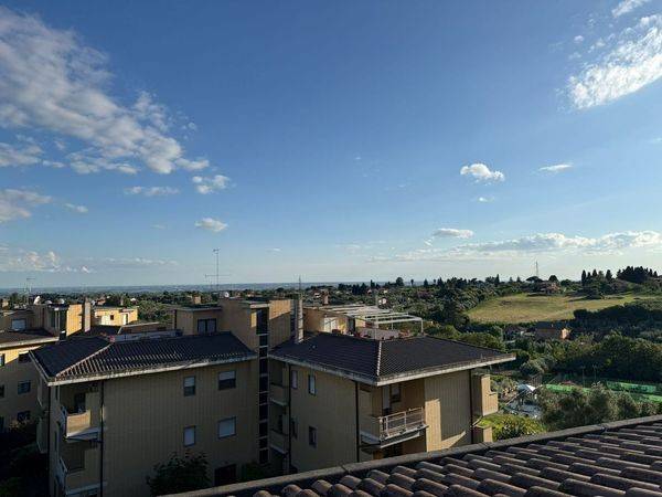 Vista