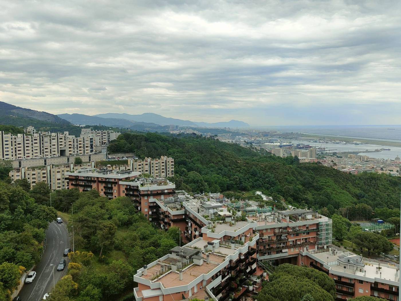 Vista
