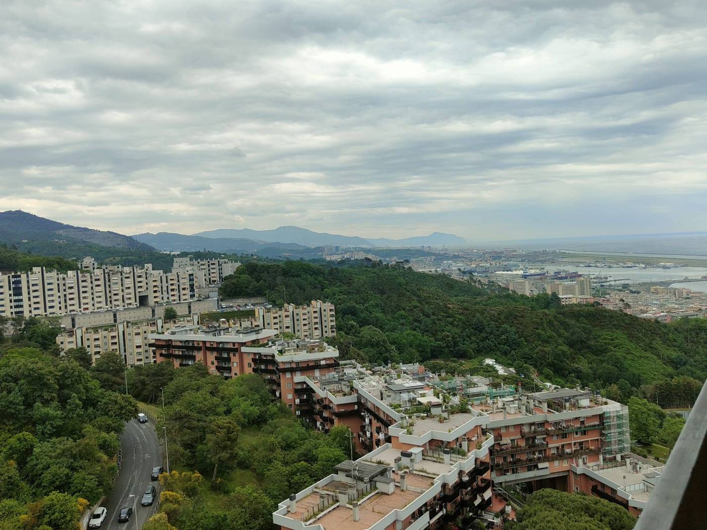 Vista