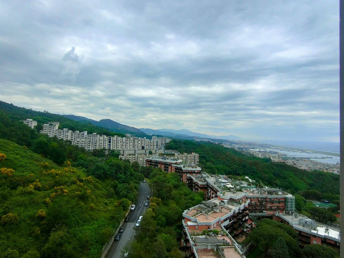 Vista